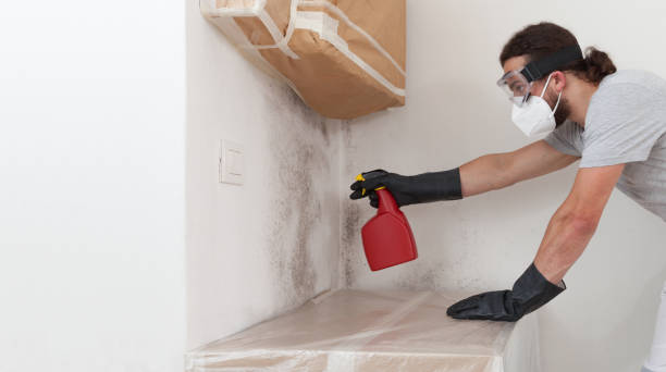 Professional Mold Remediation technician working in Conklin, MI