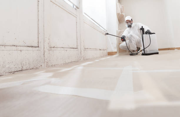 24/7 Emergency Mold Remediation experts in Conklin, MI