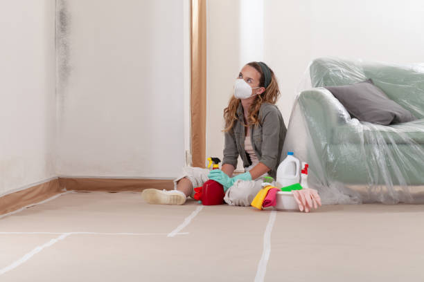 Reliable Mold Remediation contractor in Conklin, MI by Car Mold Remediation